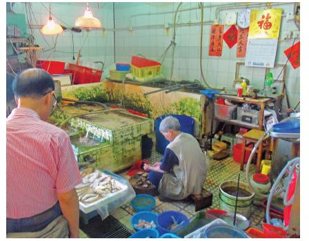 human sea food market