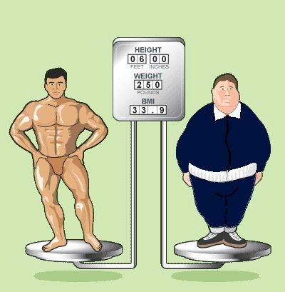 زيادة الوزن أم زيادة الدهون